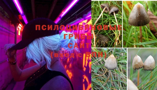 бутират Алексин