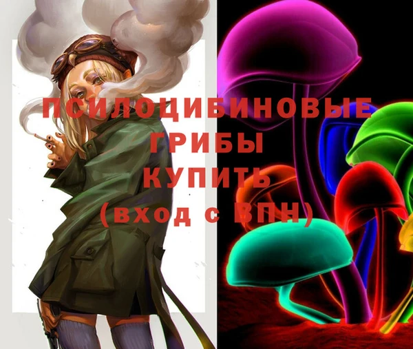 бошки Абинск